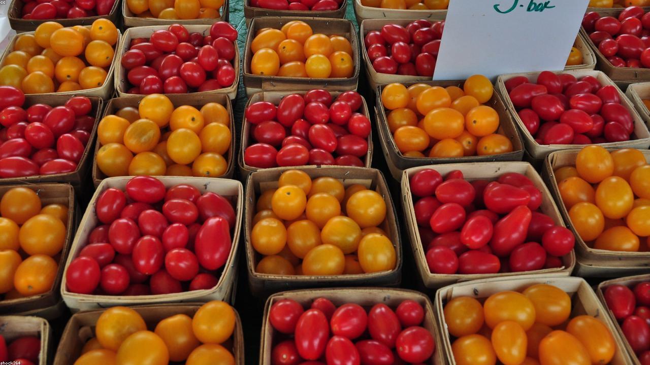 14 Hidden Tips to Improve Your Healthy News